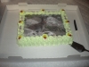 dscn1095