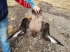 DSCN0467