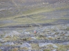 dsc04081