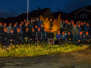Klappjakt 2016 II