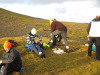 254961816_432037038300418_3542410039318569199_n