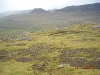 2006