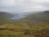 2006