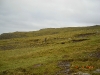 2006