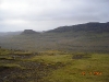 2006