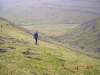 2006