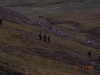 2006