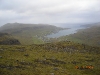 2006