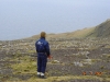 2006