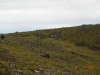 2006