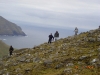 2006