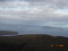 2006