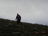 2006