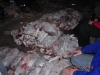 2006