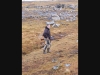 vlcsnap-2014-09-04-22h33m06s186