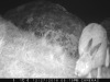 1715:122716:01C:CAMERA2   :7