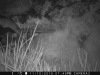 1949:111016:01C:CAMERA3   :3