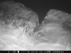2024:111816:-4C:CAMERA2   :5